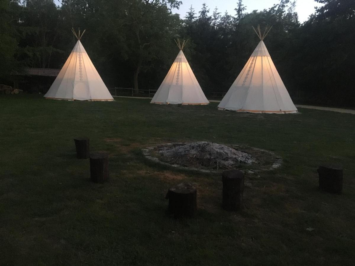 فندق Domaine De Carnin Beloeil المظهر الخارجي الصورة