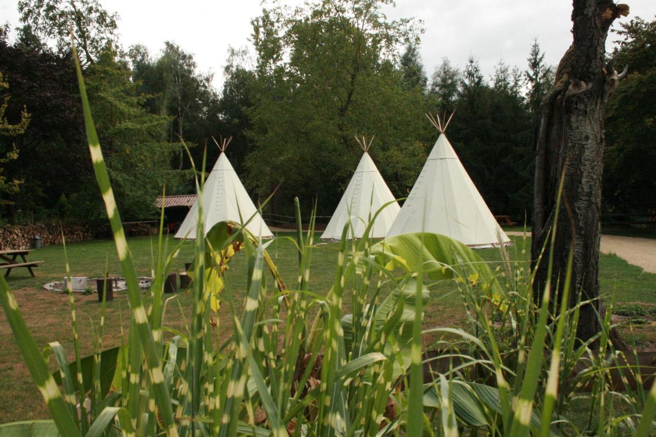 فندق Domaine De Carnin Beloeil المظهر الخارجي الصورة